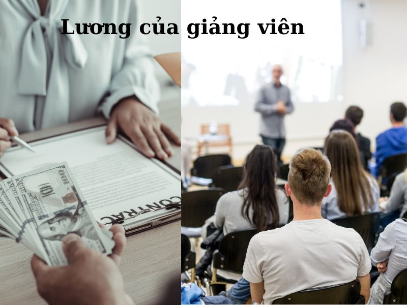 Mức lương của giảng viên Tiếng Anh