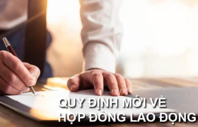 Quy định mới về hợp đồng giáo viên theo Luật Viên chức 2019