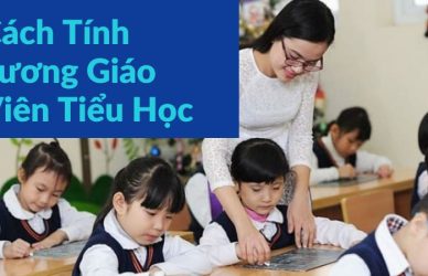 Cách Tính Lương Giáo Viên Tiểu Học